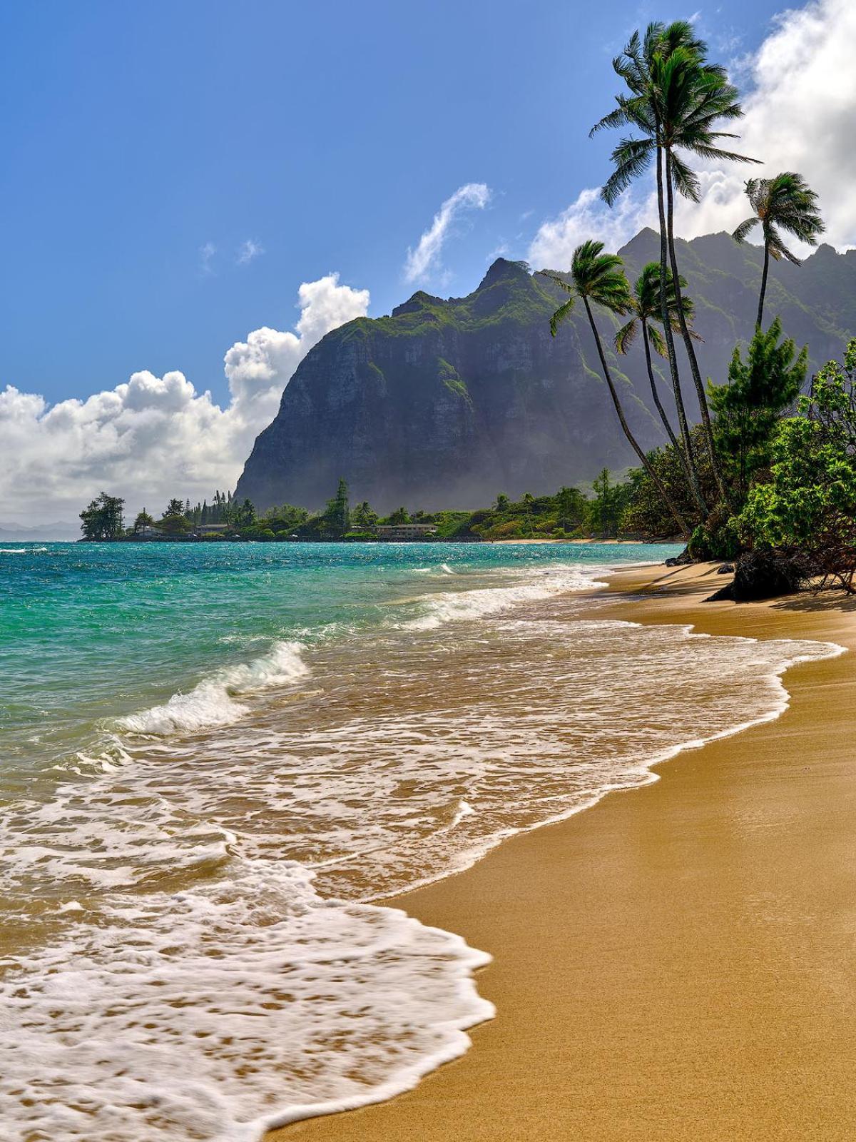 Hawaiian Monarch Cozy Studio Χονολουλού Εξωτερικό φωτογραφία